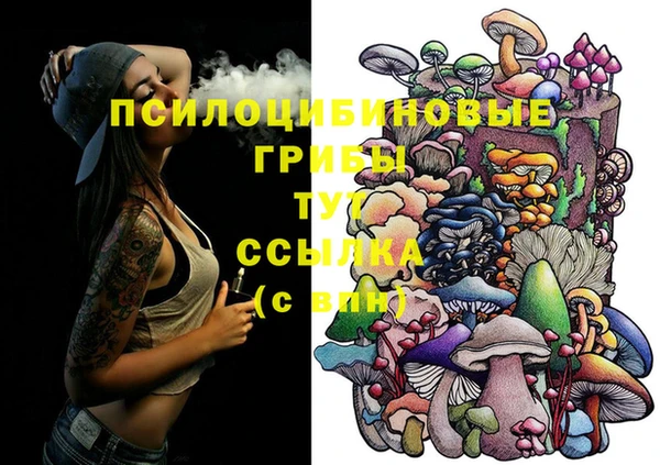 винт Абинск