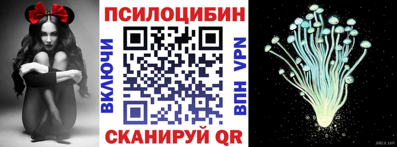 кракен маркетплейс  Алейск  Псилоцибиновые грибы мицелий  где купить наркоту 